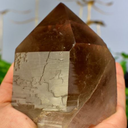 Smoky Quartz Golden Rutile Cluster Point Untreated Healing Crystal Mineral Specimen Home Decor - DelphyCrystals