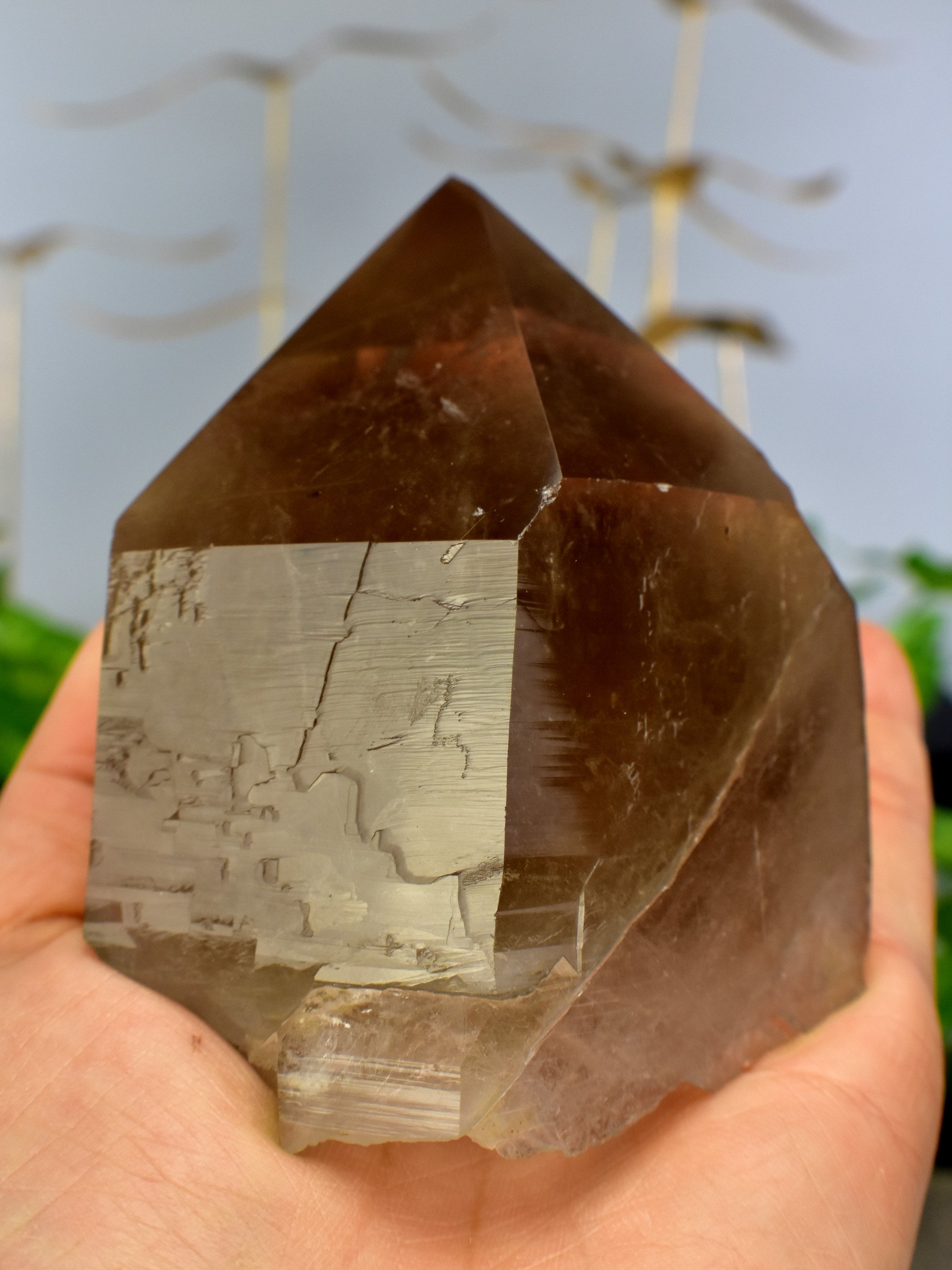 Smoky Quartz Golden Rutile Cluster Point Untreated Healing Crystal Mineral Specimen Home Decor - DelphyCrystals