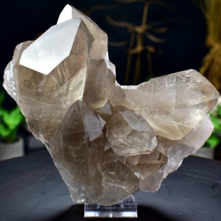 Smoky Quartz Cluster Untreated Healing Crystal Mineral Specimen Home Decor - DelphyCrystals